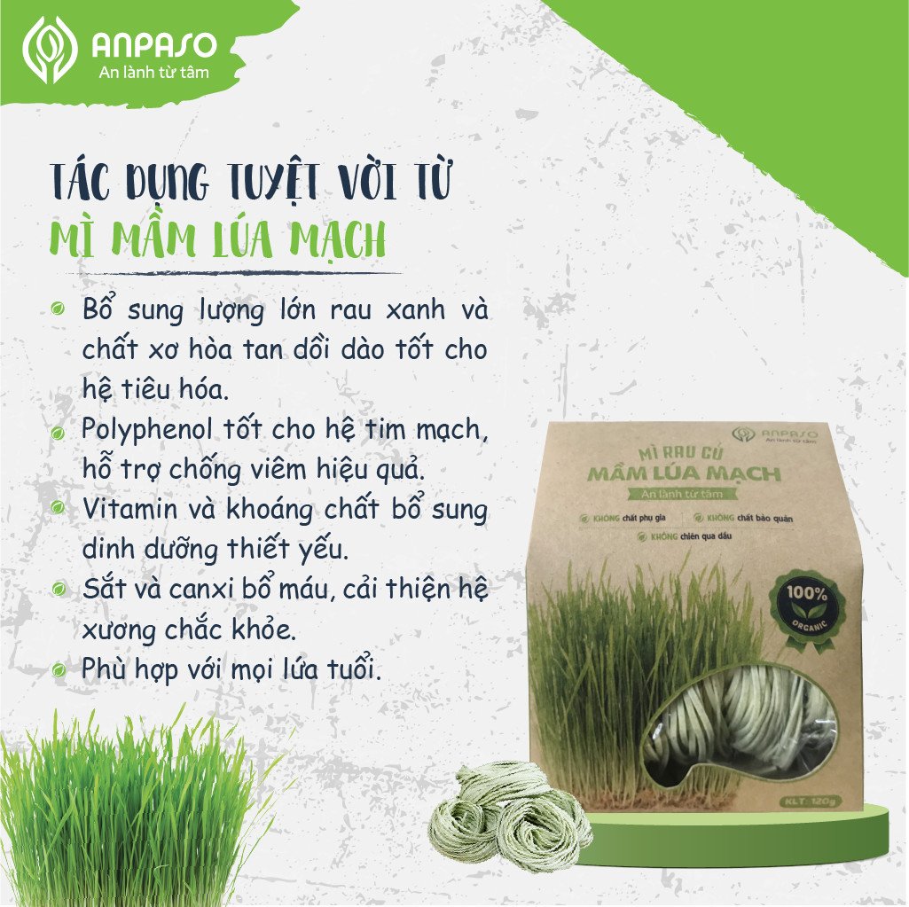 Mì Mầm Lúa Mạch Organic 120g